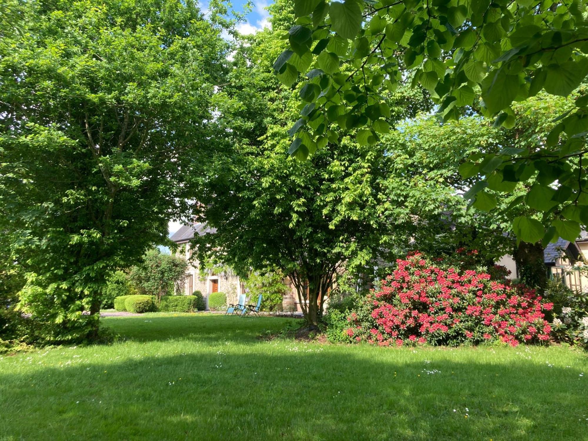 Grove House Country Rooms Shanballymore Экстерьер фото